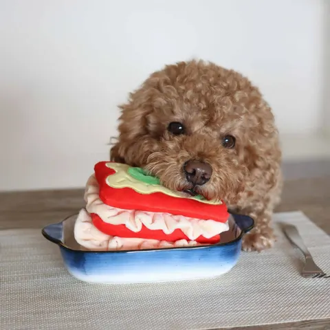 Pups & Bubs Zabawka węchowa dla psa - LASAGNE