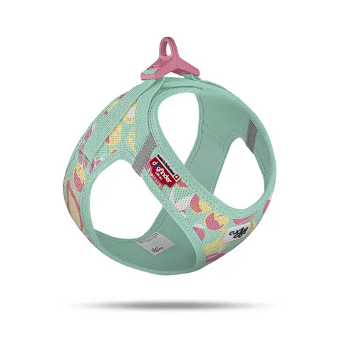 Curli Szelki dla psa - Clasp Air Mesh Juicy Fruits Turquoise