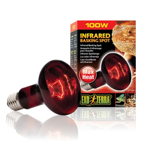 EXO TERRA HEAT GLO R25/100W ŻARÓWKA DO TERRARIUM
