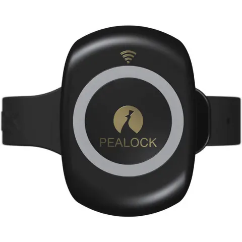 Pealock 2 - czarny - Inteligentny zamek elektroniczny