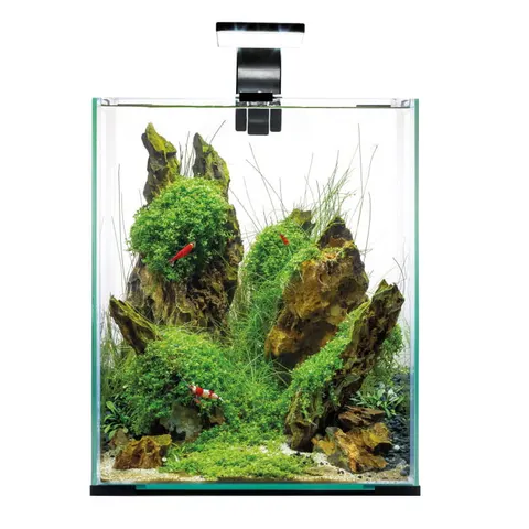 AQUAEL SHRIMP SET 30 CZARNY DAY&NIGHT 29x29x35 30l