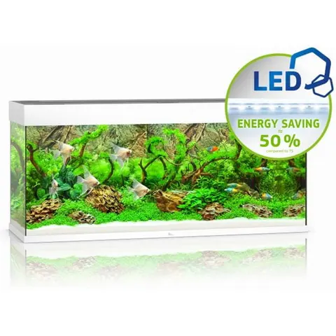 Juwel Rio 240l 121x41x55cm Zestaw Akwarium Białe