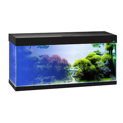 AQUAEL OPTI SET 240L 121x41x56 zestaw akwarium LED CZARNY