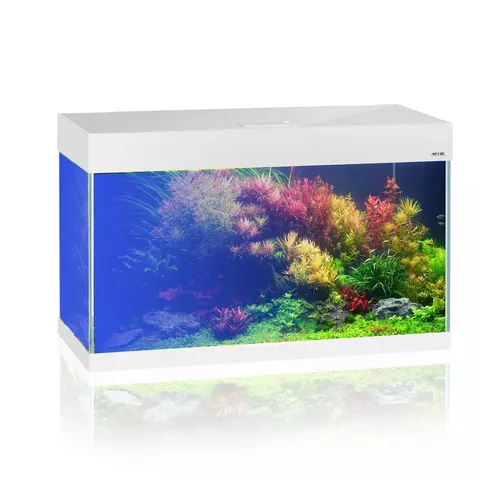 AQUAEL OPTI SET 125L 81x36x51 zestaw akwarium LED BIAŁY 2.0