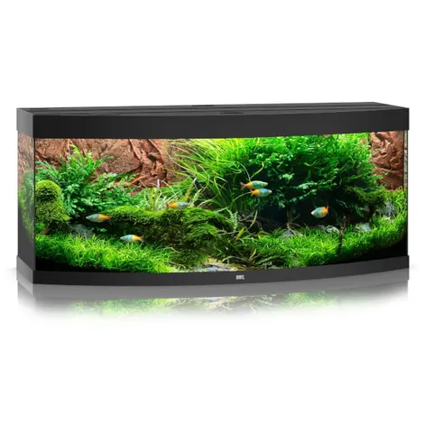 Juwel vision 450 led akwarium wyposażeniem w kolorze czarnym