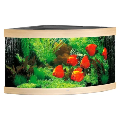 Juwel Trigon 350l Zestaw Akwarium Narożne Jasne Drewno 123x87x65cm