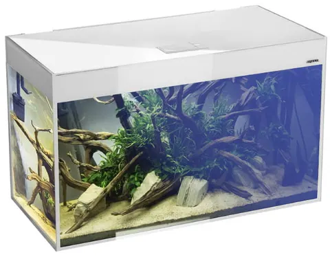 AQUAEL GLOSSY 260L 120x40x63 Zestaw Akwarium Białe Day&Night