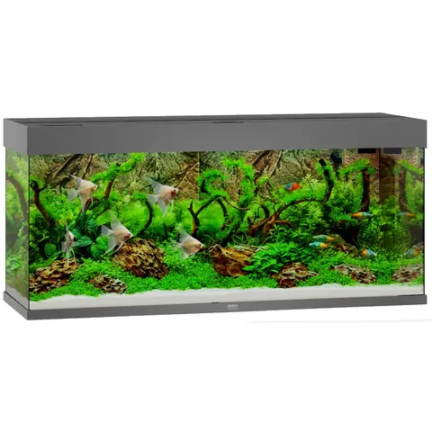 Juwel Rio 240l 121x41x55cm Zestaw Akwarium Szare