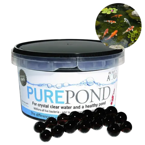 Evolution Aqua PURE Pond Balls Czarne Kulki Czysta Woda w Oczku Wodnym Bakterie 500ml