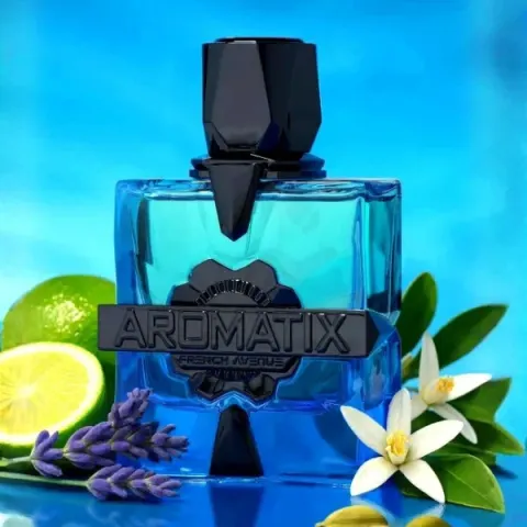 French Avenue Aromatix Magnetiq ekstrakt perfum unisex 100ml