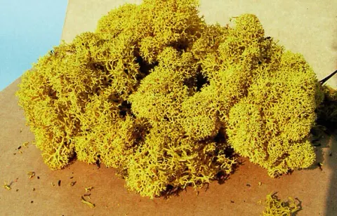 Mech islandzki żółty 30 g Heki 3215