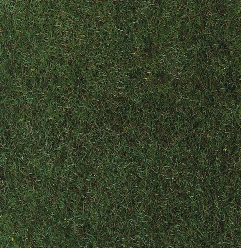 Trawa statyczna 2-3 mm Heki 3362
