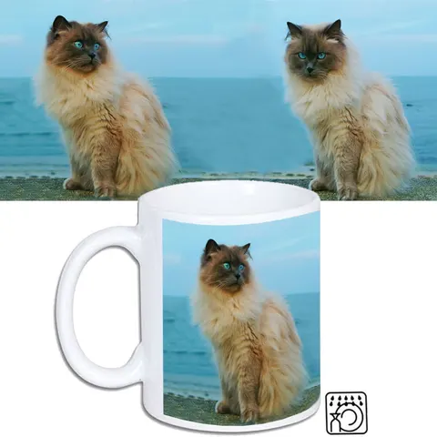Kubek KOTY
