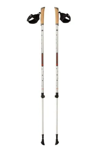 Kije Nordic Walking FERRINO Step-in 85-135 cm srebrne