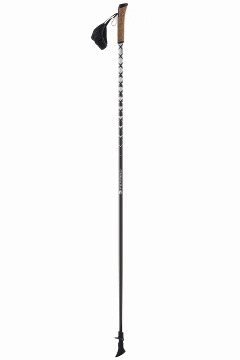 Kije Nordic Walking FERRINO Horn 115 cm Karbon 16 mm