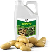 BAYER Infinito 687,5 SC 1l