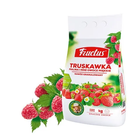 Fructus Truskawka 25kg