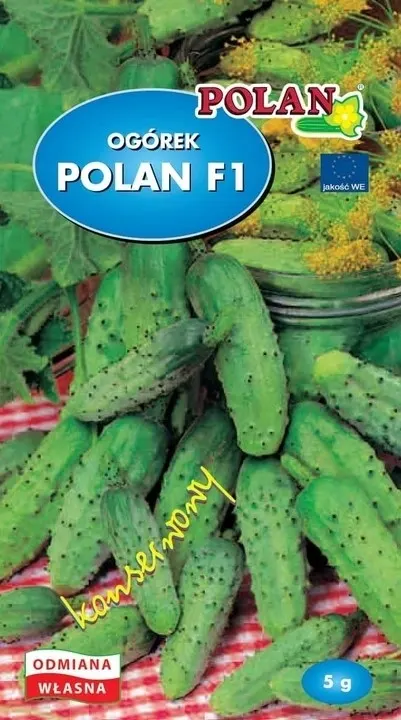 Ogórek gruntowy Polan F1 5g POLAN odmiana średnio wczesna, bardzo plenny, do konserwowania i kwaszenia