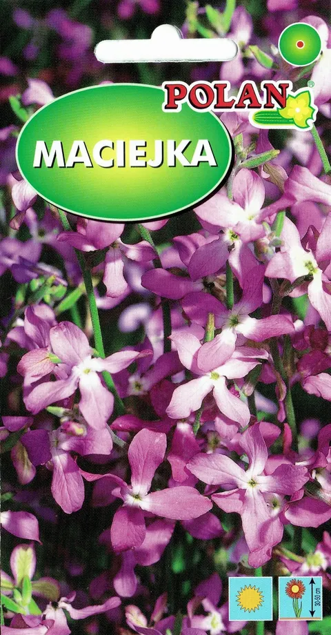 POLAN Maciejka 5g