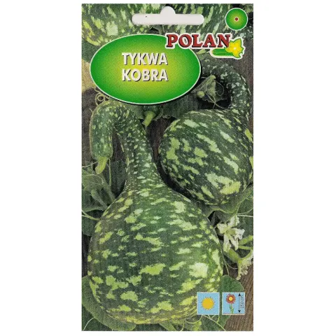 POLAN Dynia ozdobna Tykwa Kobra 1g
