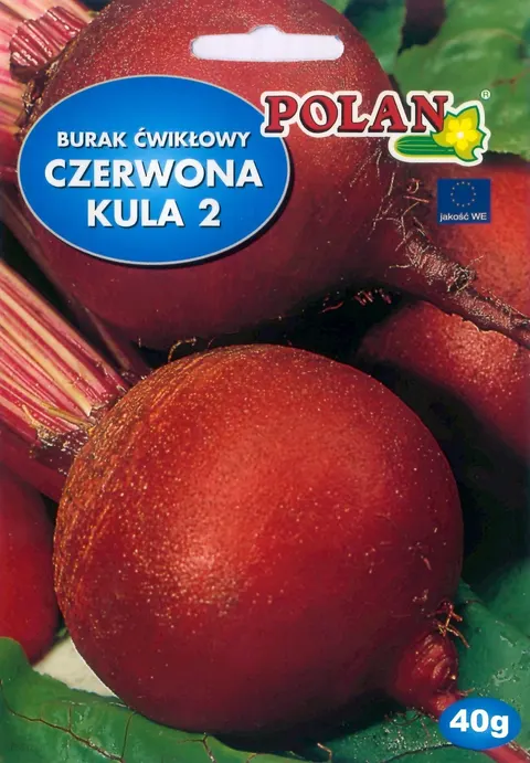 POLAN Burak Czerwona Kula 2 otoczka 100N
