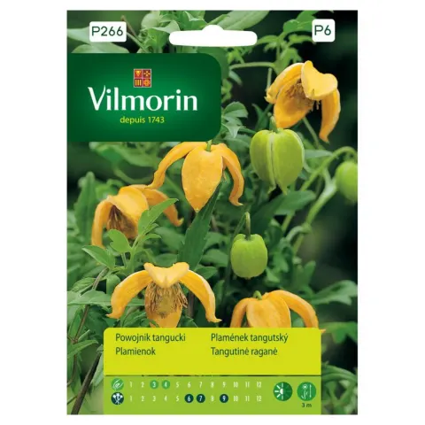 VILMORIN Powojnik Tangucki 200g