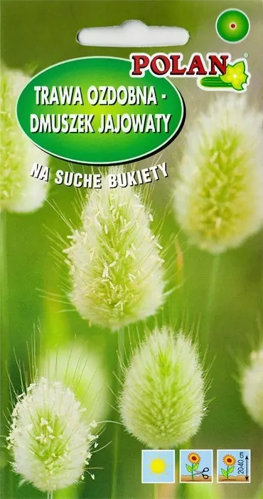 Trawy ozdobne Dmuszek Jajowaty nasiona 0,5g - POLAN