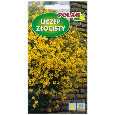 POLAN Uczep złocisty żółty 0,2g