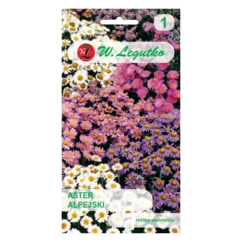Aster alpejski – mix – 0,3 g - nasiona Legutko