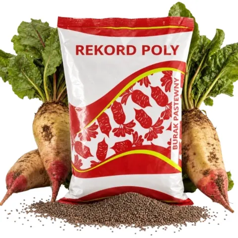 GRANUM Burak pastewny Rekord Poly czerwony 0,5kg