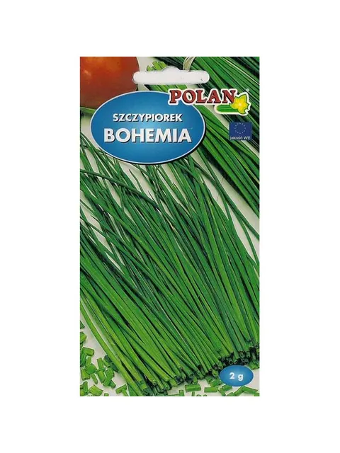 POLAN Szczypiorek ogrodowy Bochemia 2g