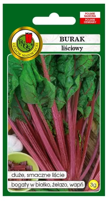 PNOS Burak Liściowy Rhubarb Chard 3g