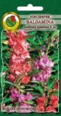 PNOS Niecierpek balsamina mieszanka 1g