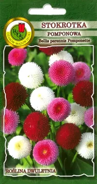 PNOS Stokrotka Pomponette mieszanka 0,2g