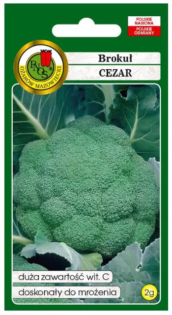 PNOS Brokuł Cezar 2g