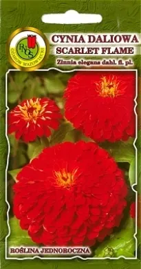 PNOS Cynia daliowa Scarlet Flame 1g czerwona PNOS