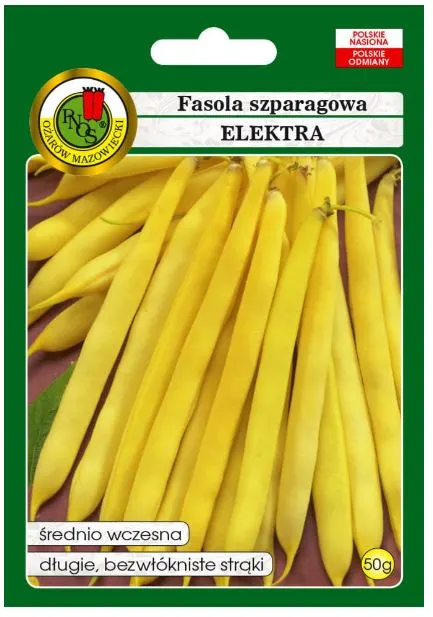 PNOS Fasola szparagowa Elektra żółta 50g