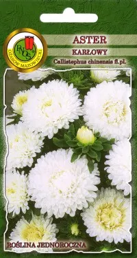 PNOS Aster karłowy biały 0,8g