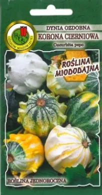 PNOS Dynia ozdobna Korona cierniowa 1g