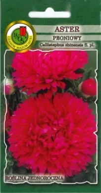 PNOS Aster peoniowy różowopurpurowy 0,8g