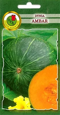 PNOS Dynia Ambar 100g