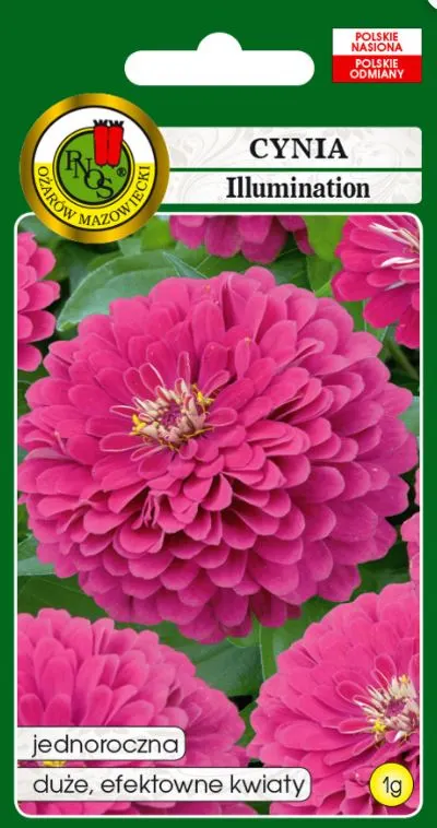 PNOS Cynia daliowa Illumination różowa 1g