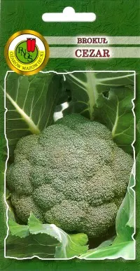 PNOS Brokuł Cezar 10g