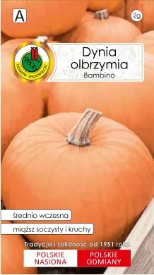 Dynia olbrzymia Bambino 500g PNOS odmiana średniowczesna, plenna, miąższ ścisły, ciemnopomarańczowy, soczysty, delikatna skórka