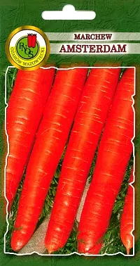 PNOS Marchew jadalna Amsterdam 2 50g