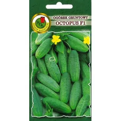 PNOS Ogórek gruntowy Octopus F1 1,5 g