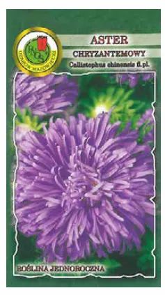 PNOS Aster chryzantemowy niebieski 0,8 g