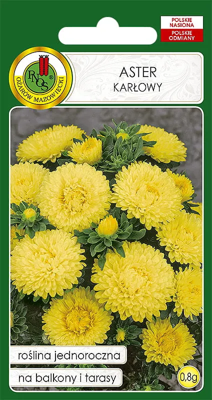 PNOS Aster karłowy żółty 0,8 g
