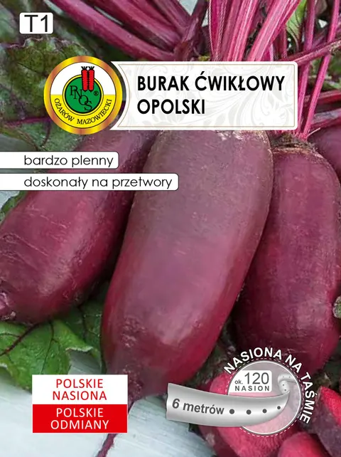 PNOS Burak Ćwikłowy Opolski na taśmie 6m
