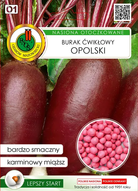 PNOS Burak Ćwikłowy Opolski 100 nasion otoczkowanych